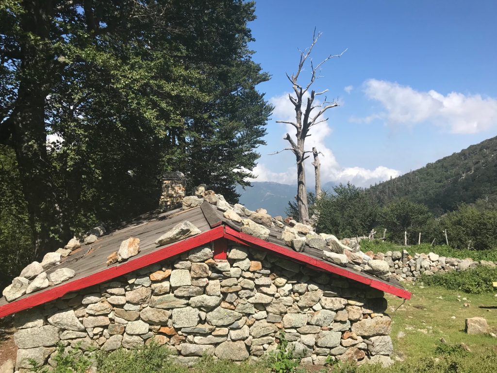 bergerie-corse-jean-philippe