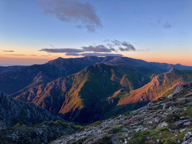 couelurs-rougeatres-corse