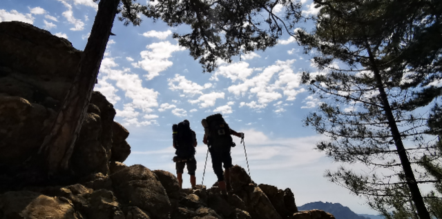 sortie-foret-vizzavona-corse-gr20