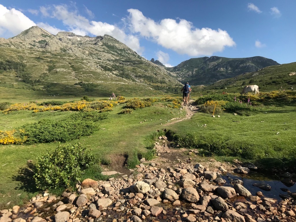 chemin-grande-randonnee-gr20