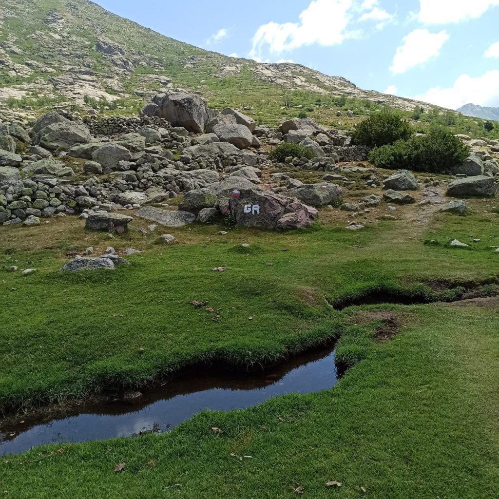 Les pozzines du Lac de Nino - GR20